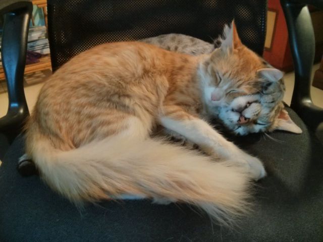 morning picdump 56 pics 8.html - 56 HD Photos | Premium Gallery 2014