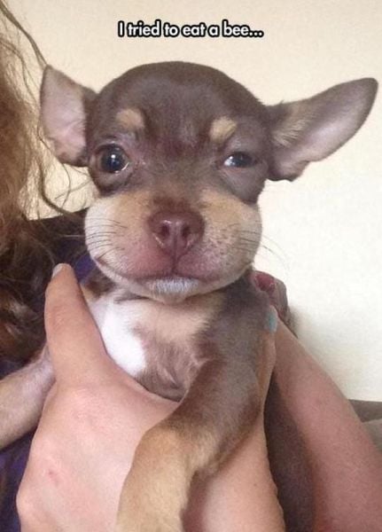 morning picdump 56 pics 8.html - 56 HD Photos | Premium Gallery 2014