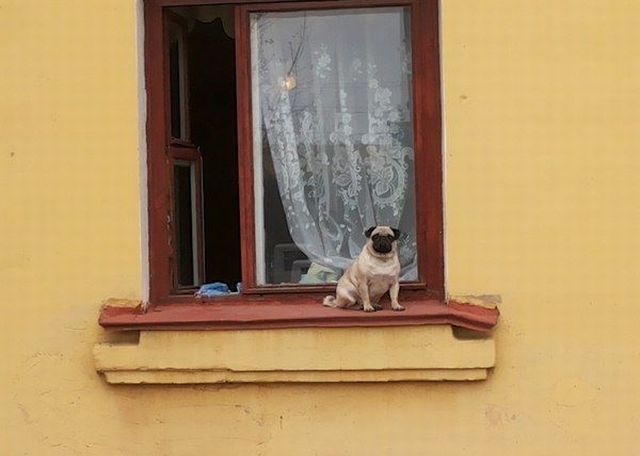 morning picdump 56 pics 8.html - 56 HD Photos | Premium Gallery 2014