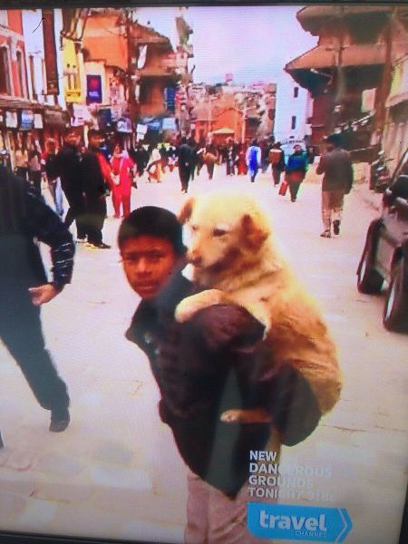 morning picdump 56 pics 8.html - 56 HD Photos | Premium Gallery 2014