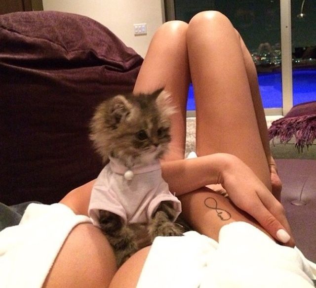 grownup corner 39 pics 17 gifs 2.html - 39 HD GIF | Premium Gallery 2014