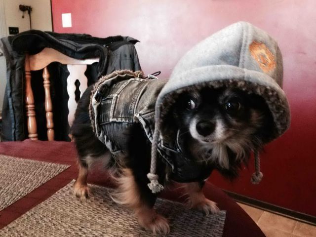 morning picdump 56 pics 12.html - 56 HD Photos | Premium Gallery 2014