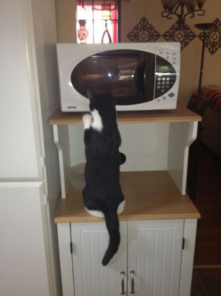 morning picdump 56 pics 12.html - 56 HD Photos | Premium Gallery 2014