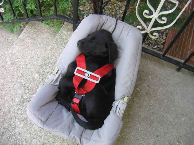 morning picdump 56 pics 12.html - 56 HD Photos | Premium Gallery 2014