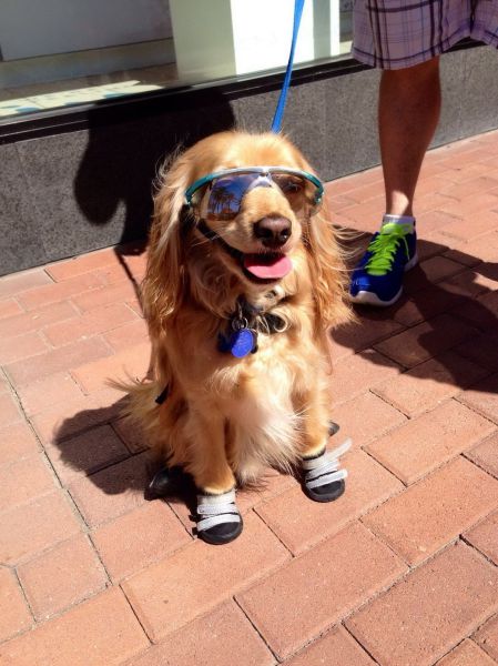 morning picdump 56 pics 12.html - 56 HD Photos | Premium Gallery 2014