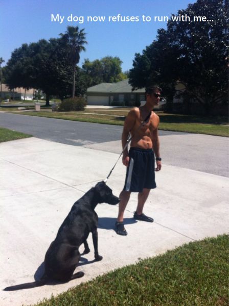 morning picdump 56 pics 12.html - 56 HD Photos | Premium Gallery 2014