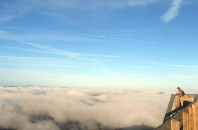 morning picdump 56 pics 12.html - 56 HD Photos | Premium Gallery 2014