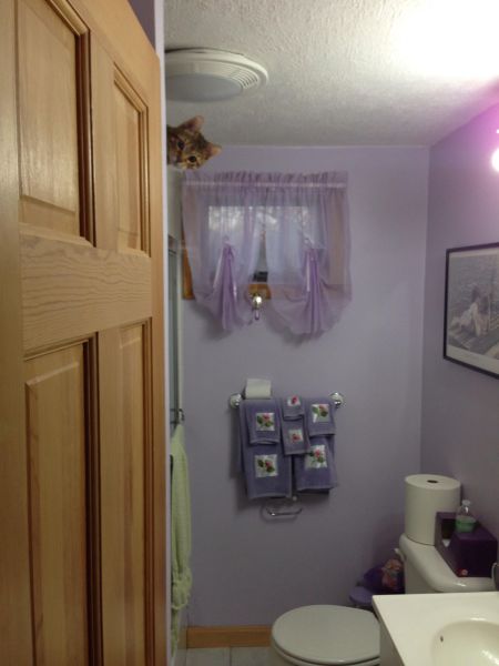 morning picdump 56 pics 12.html - 56 HD Photos | Premium Gallery 2014