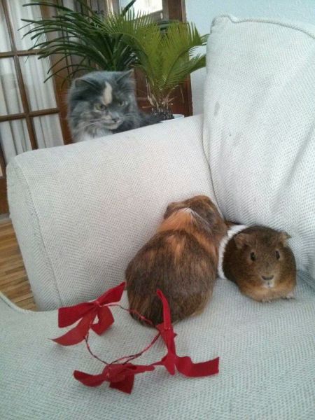 morning picdump 56 pics 12.html - 56 HD Photos | Premium Gallery 2014