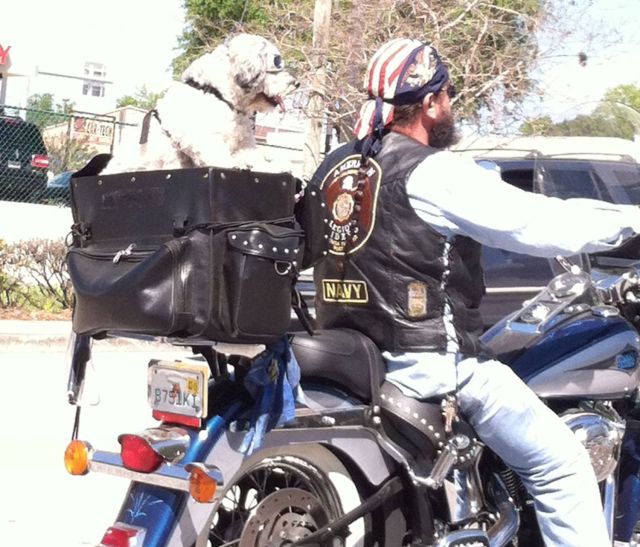 morning picdump 54 pics 4.html - 54 HD Photos | Premium Gallery 2014