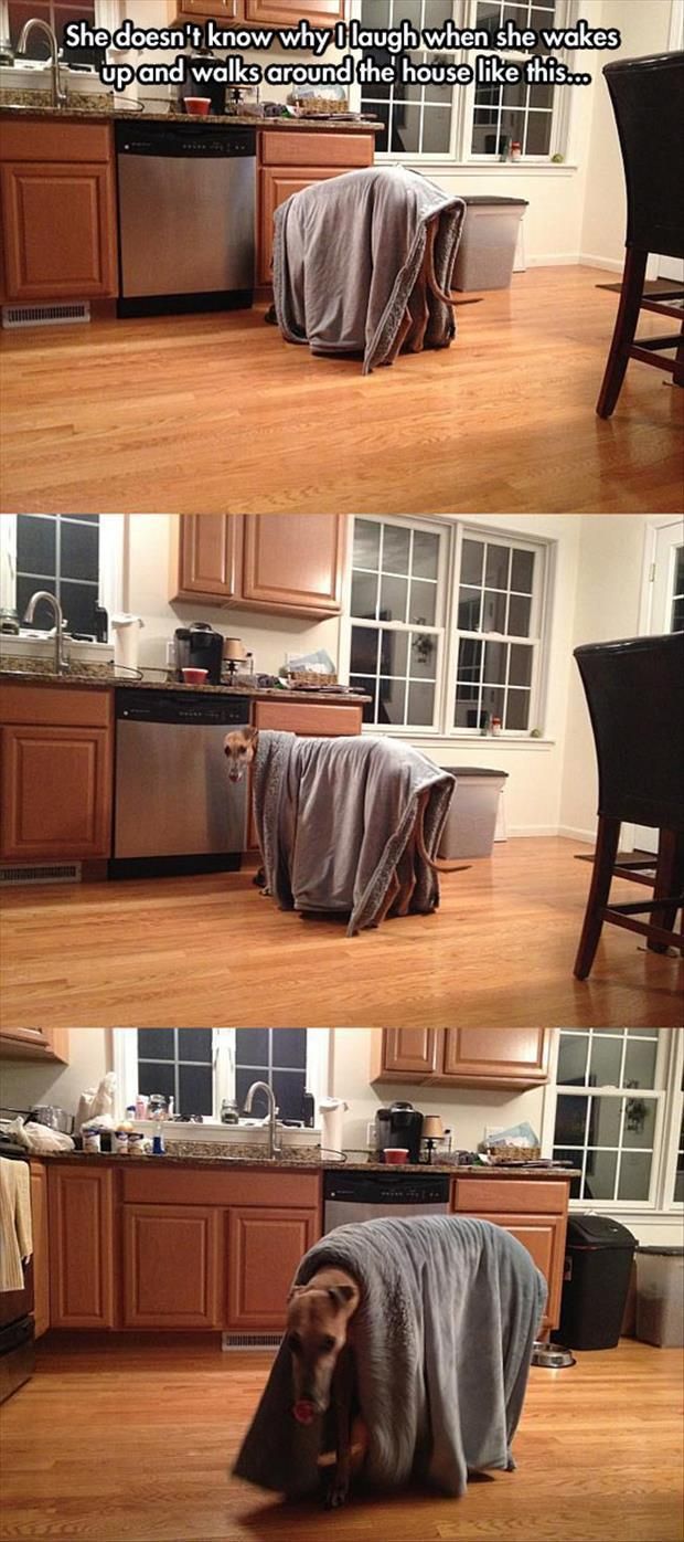 morning picdump 54 pics 4.html - 54 HD Photos | Premium Gallery 2014