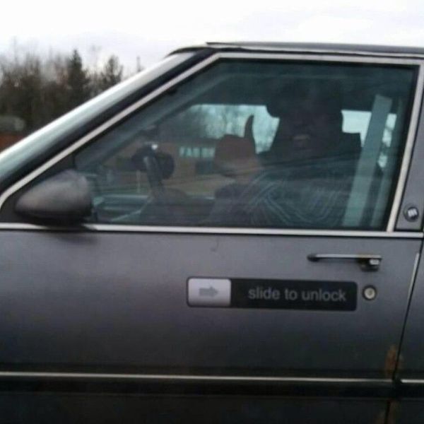 Daily Picdump [WEEKEND EDITION]