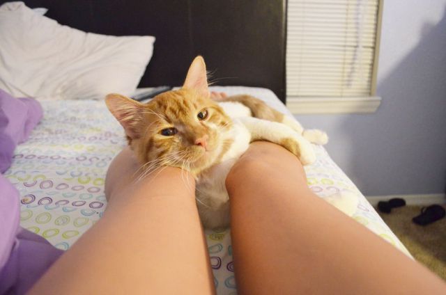 Daily Picdump [WEEKEND EDITION]