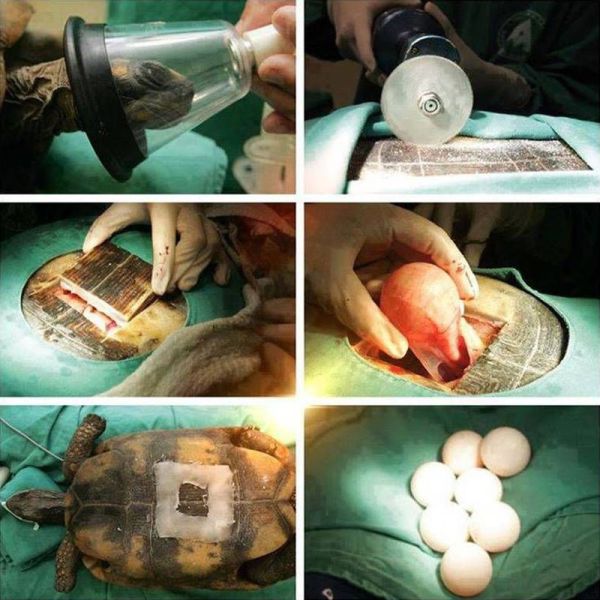 Daily Picdump [WEEKEND EDITION]