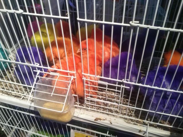 daily picdump weekend edition 101 pics 9.html - 101 HD Photos | Premium Gallery 2014