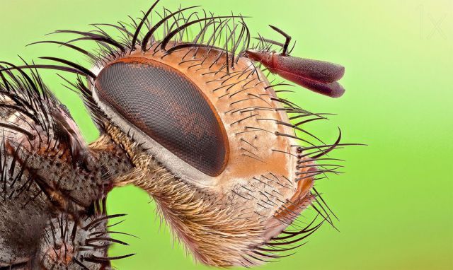 daily picdump weekend edition 101 pics 9.html - 101 HD Photos | Premium Gallery 2014