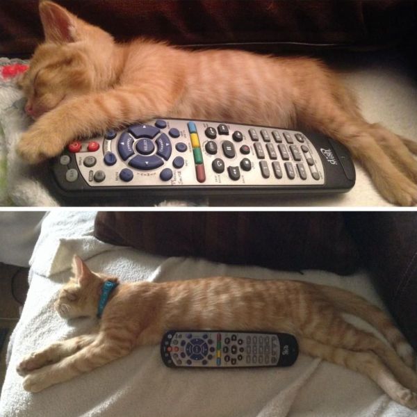 daily picdump weekend edition 101 pics 9.html - 101 HD Photos | Premium Gallery 2014