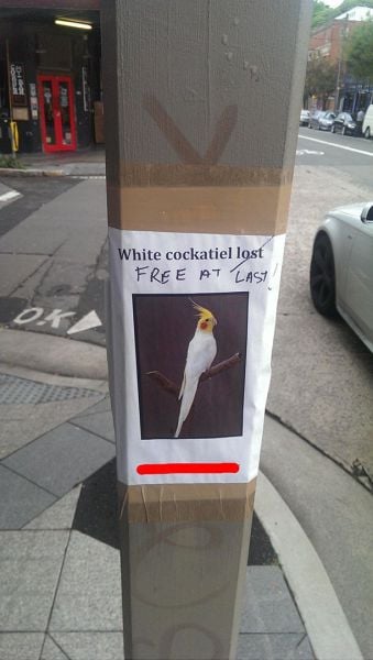 daily picdump weekend edition 101 pics 9.html - 101 HD Photos | Premium Gallery 2014