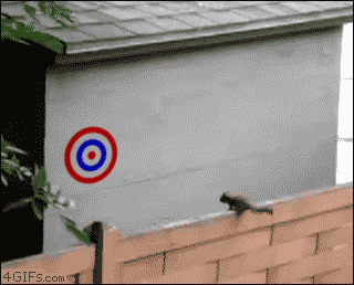 GIFs Get More Awesome When You Combine Them