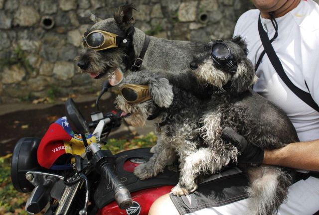 morning picdump 54 pics 42.html - 54 HD Photos | Premium Gallery 2014