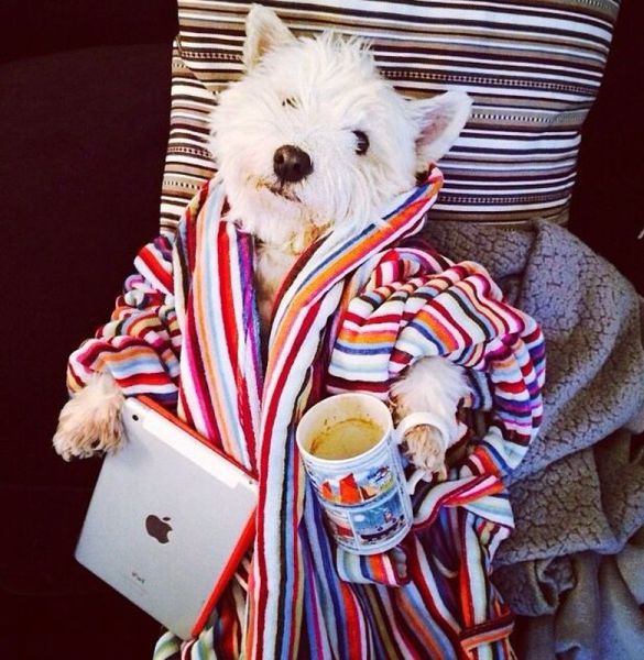 morning picdump 54 pics 42.html - 54 HD Photos | Premium Gallery 2014