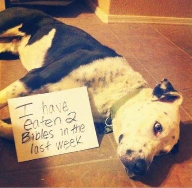 morning picdump 54 pics 42.html - 54 HD Photos | Premium Gallery 2014