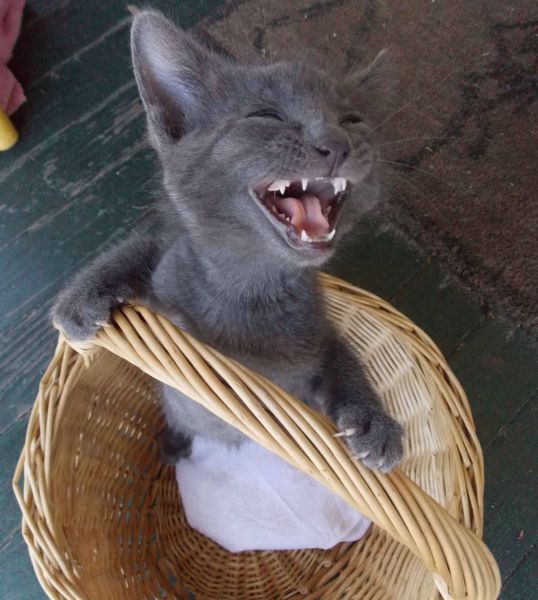 morning picdump 54 pics 42.html - 54 HD Photos | Premium Gallery 2014