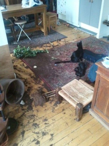 morning picdump 54 pics 42.html - 54 HD Photos | Premium Gallery 2014