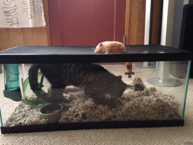 morning picdump 54 pics 42.html - 54 HD Photos | Premium Gallery 2014