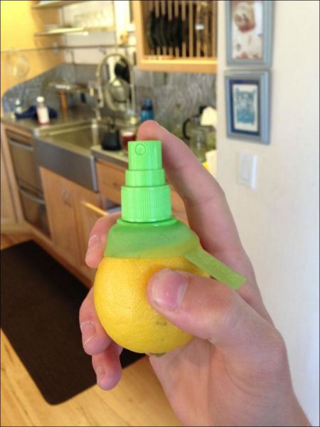 morning picdump 54 pics 42.html - 54 HD Photos | Premium Gallery 2014