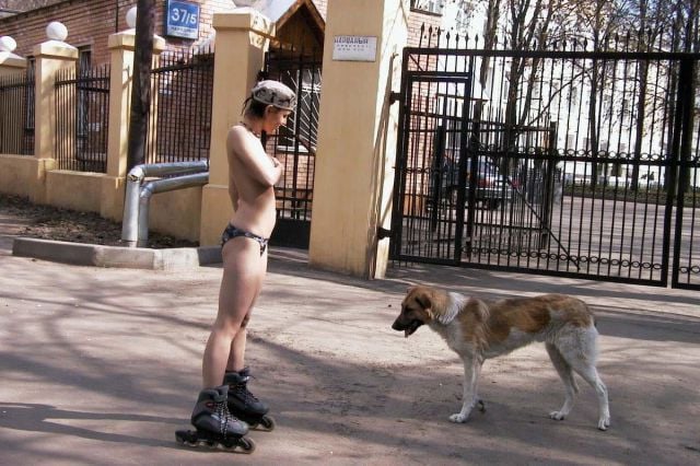 grownup corner 48 pics 9 gifs 5.html - 48 HD GIF | Premium Gallery 2014