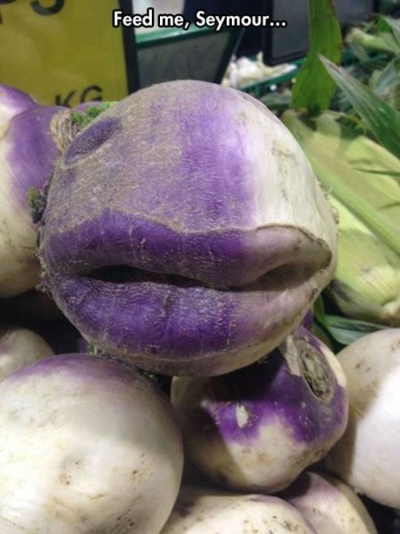 morning picdump 54 pics 15.html - 54 HD Photos | Premium Gallery 2014