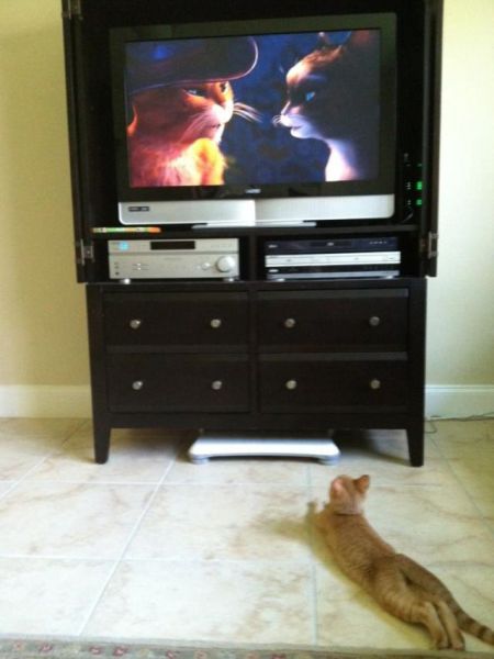 morning picdump 54 pics 15.html - 54 HD Photos | Premium Gallery 2014