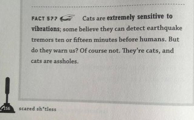 morning picdump 54 pics 15.html - 54 HD Photos | Premium Gallery 2014