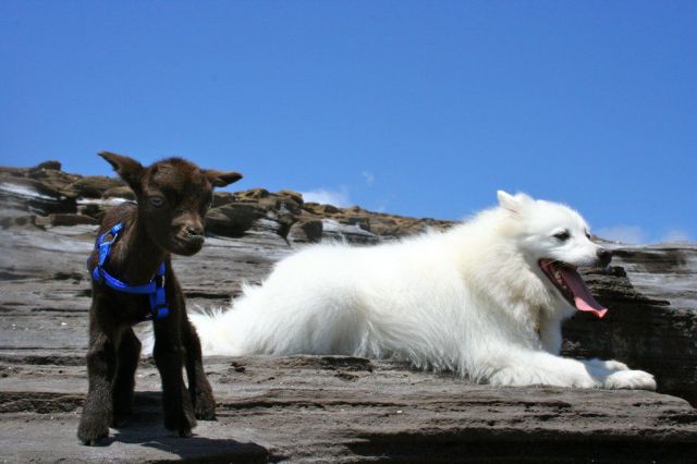 morning picdump 54 pics 15.html - 54 HD Photos | Premium Gallery 2014