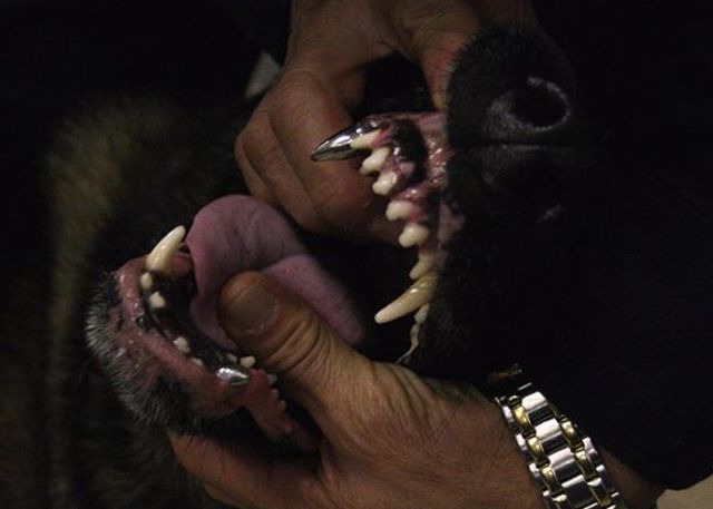 morning picdump 54 pics 15.html - 54 HD Photos | Premium Gallery 2014