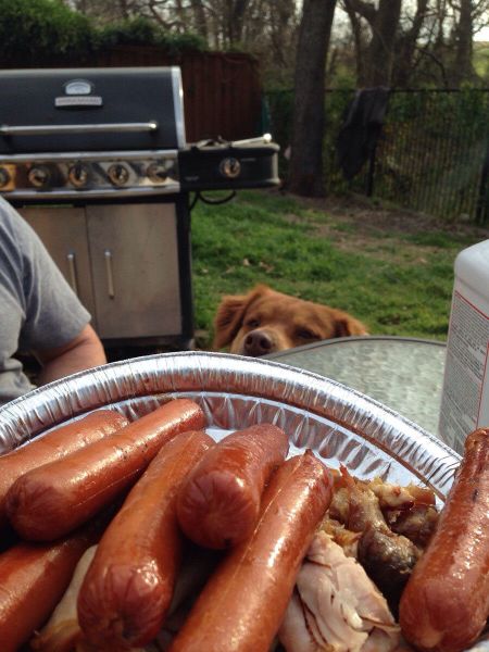 morning picdump 54 pics 15.html - 54 HD Photos | Premium Gallery 2014