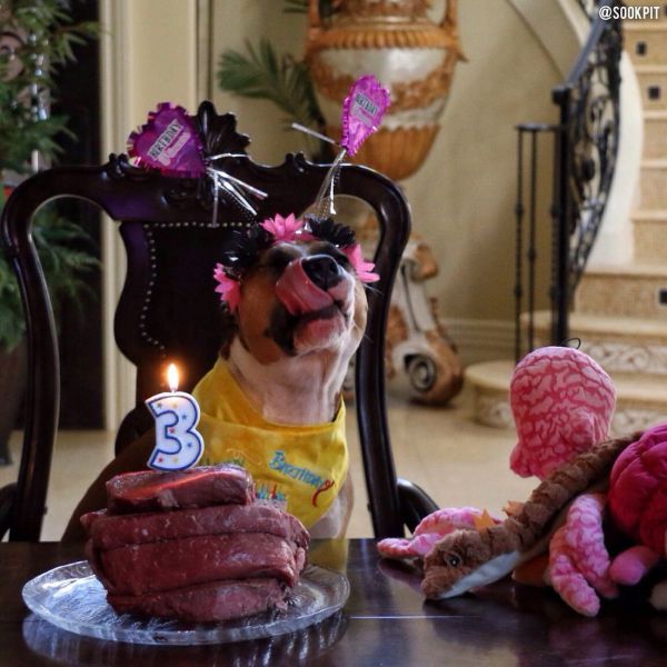 morning picdump 54 pics 15.html - 54 HD Photos | Premium Gallery 2014