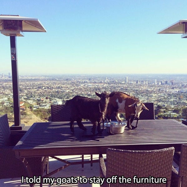 Some Will Consider This Guy