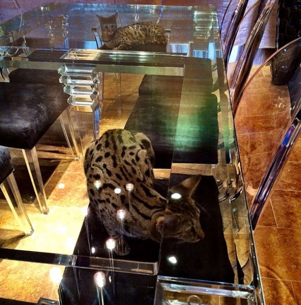 Some Will Consider This Guy