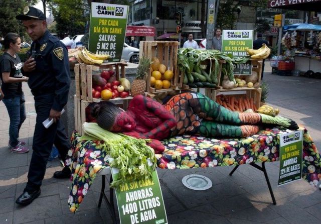 morning picdump 55 pics 16.html - 55 HD Photos | Premium Gallery 2014