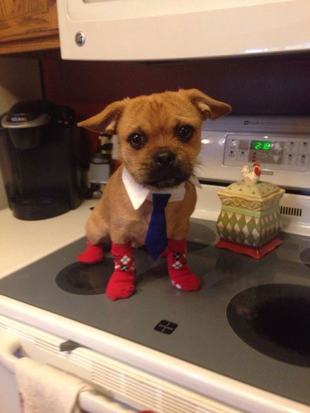 morning picdump 55 pics 16.html - 55 HD Photos | Premium Gallery 2014