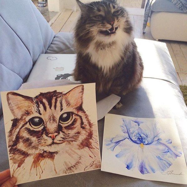 morning picdump 55 pics 16.html - 55 HD Photos | Premium Gallery 2014