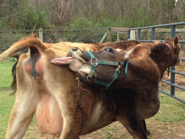 morning picdump 55 pics 16.html - 55 HD Photos | Premium Gallery 2014