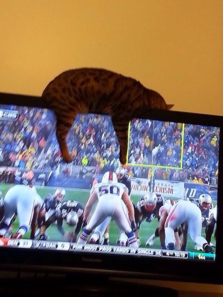 morning picdump 55 pics 16.html - 55 HD Photos | Premium Gallery 2014