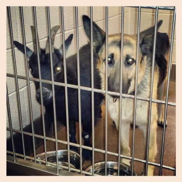 morning picdump 55 pics 16.html - 55 HD Photos | Premium Gallery 2014