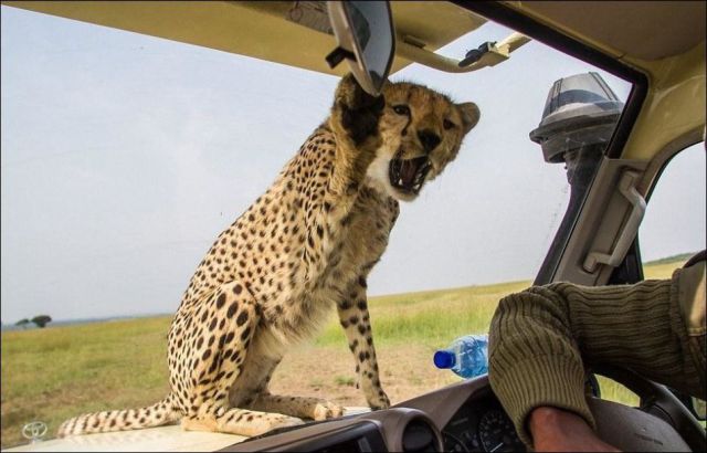 morning picdump 55 pics 16.html - 55 HD Photos | Premium Gallery 2014