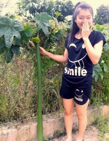 Things You Will Only See in Asia