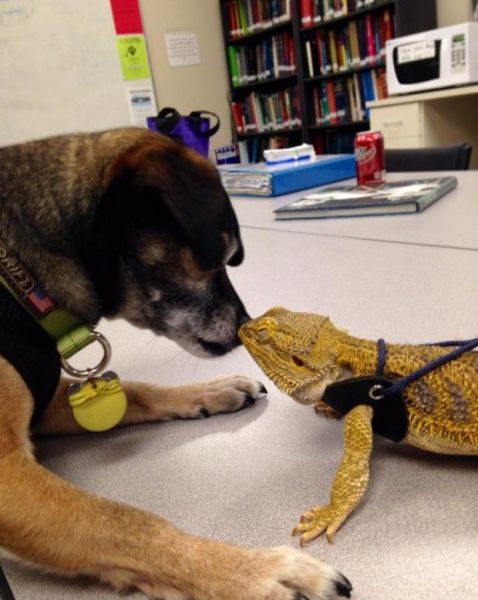 morning picdump 54 pics 19.html - 54 HD Photos | Premium Gallery 2014