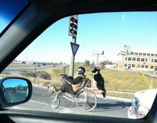 morning picdump 54 pics 19.html - 54 HD Photos | Premium Gallery 2014